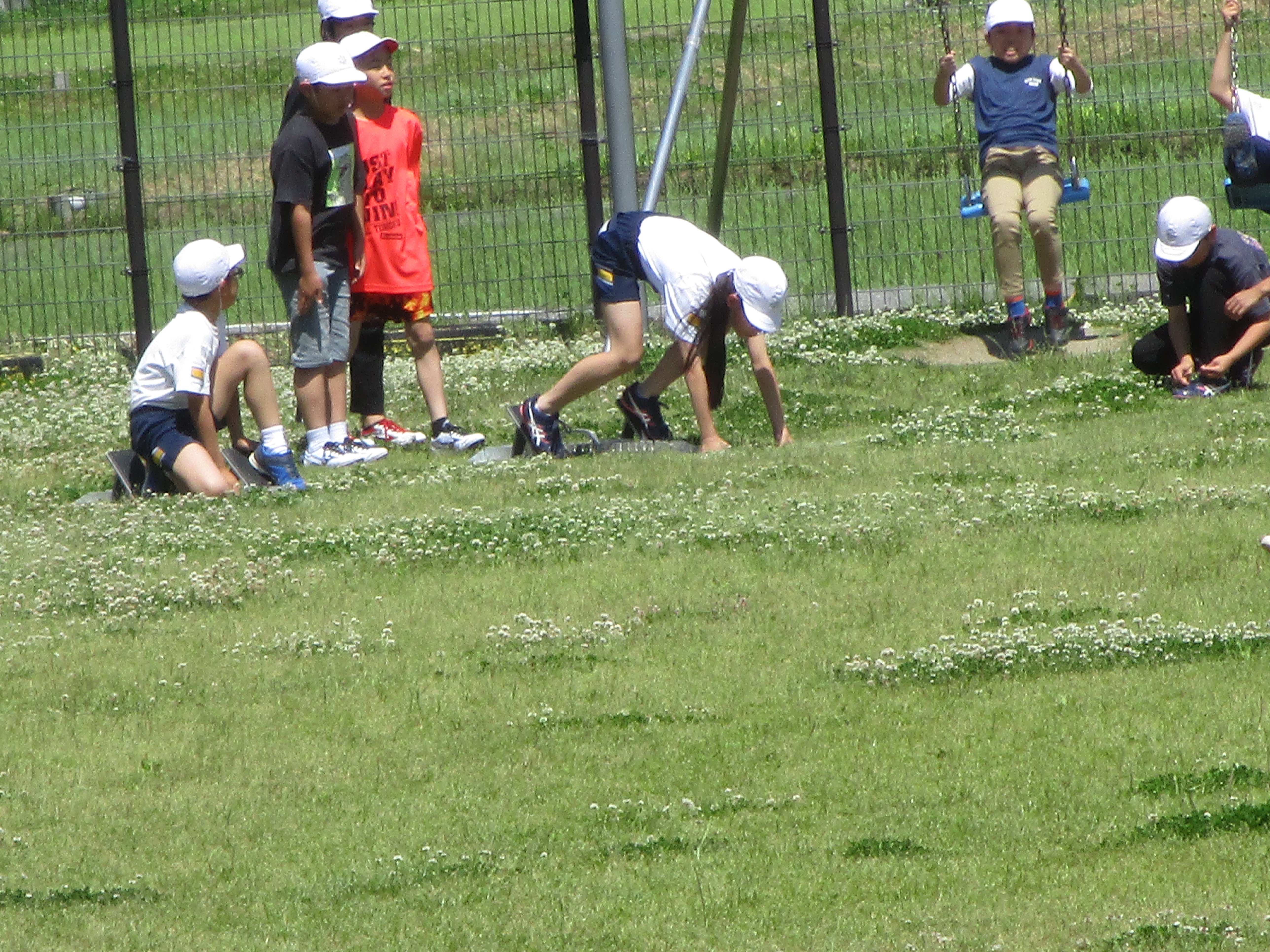 IMG_5290